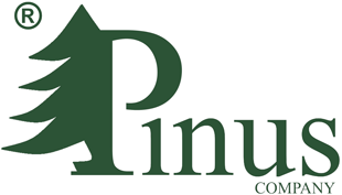 Pinus