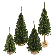 ŚWIERKI TATRZAŃSKIE